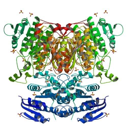 Enzyme Activity Measurement of Uronate Dehydrogenase Using Spectrophotometric Assays